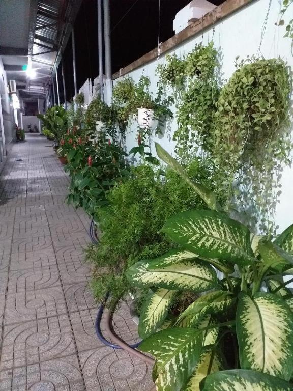 Nha Nghi Nguyen Anh Hotel Лонг Хай Екстериор снимка